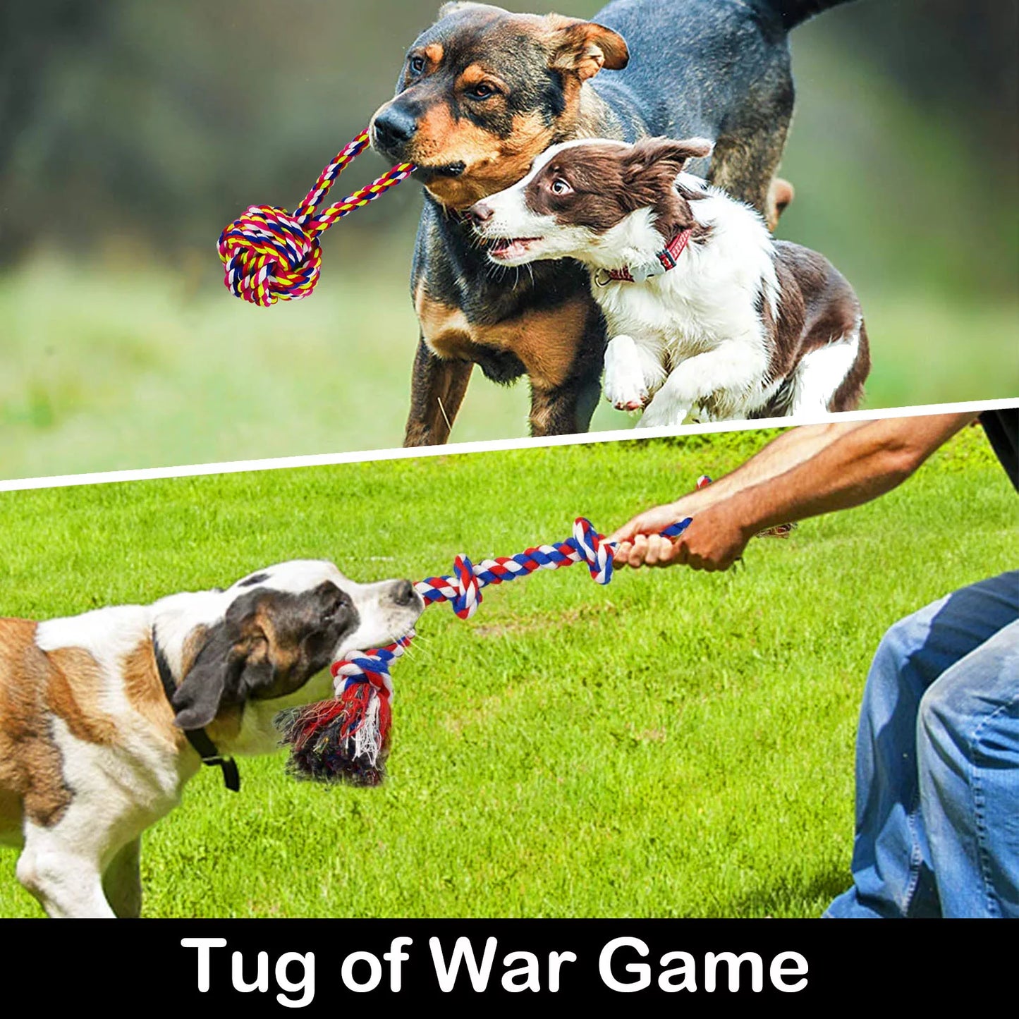 Tough Dog Rope Toys for Aggressive Chewers, 9 Pack Durable Dog Chew Toys for All Dog Breeds.