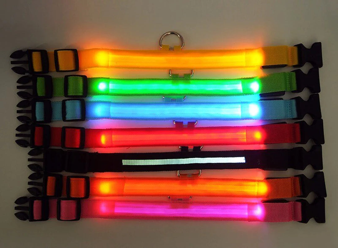 Blinking Waterproof LED Adjustable Dog Collar