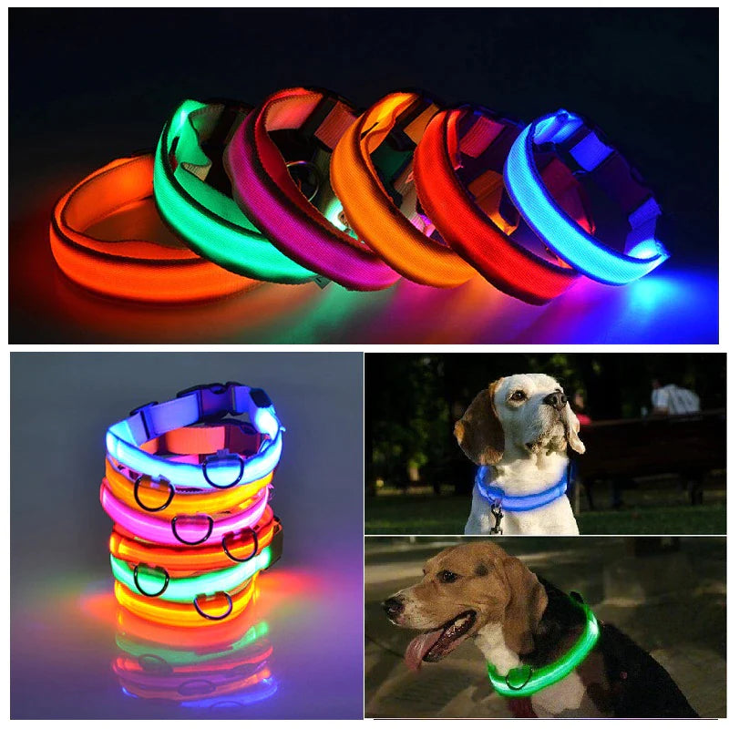 Blinking Waterproof LED Adjustable Dog Collar