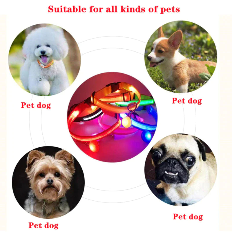 Blinking Waterproof LED Adjustable Dog Collar