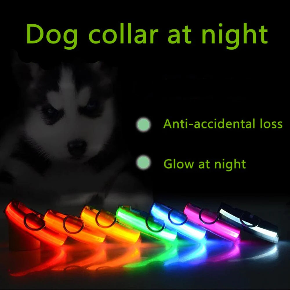 Blinking Waterproof LED Adjustable Dog Collar