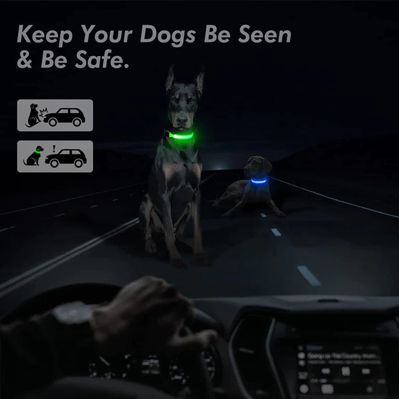 Blinking Waterproof LED Adjustable Dog Collar