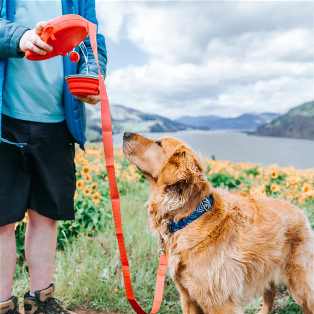 4-In-1 Durable Dog Leash with Water Bottle Bowl.