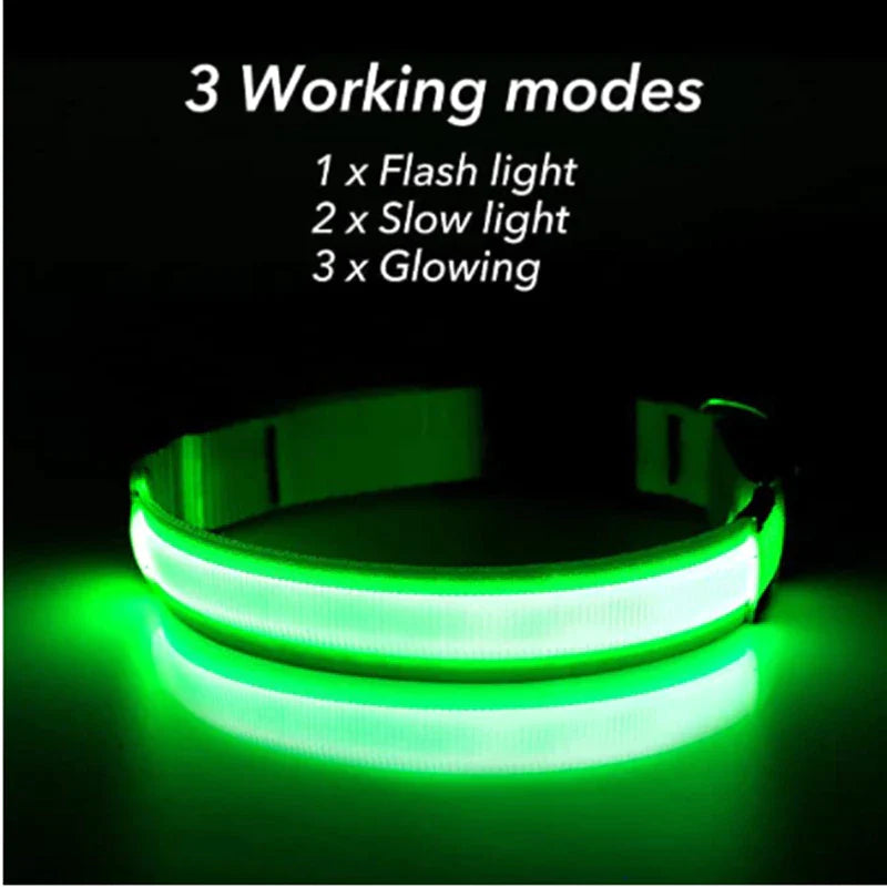 Blinking Waterproof LED Adjustable Dog Collar