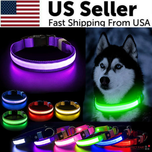 Blinking Waterproof LED Adjustable Dog Collar