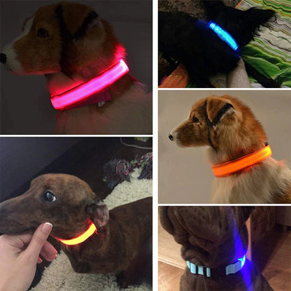 Blinking Waterproof LED Adjustable Dog Collar