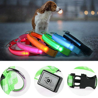 Blinking Waterproof LED Adjustable Dog Collar