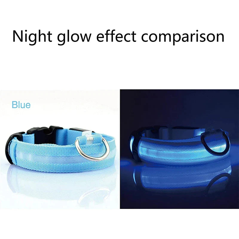 Blinking Waterproof LED Adjustable Dog Collar