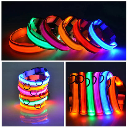 Blinking Waterproof LED Adjustable Dog Collar