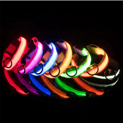 Blinking Waterproof LED Adjustable Dog Collar