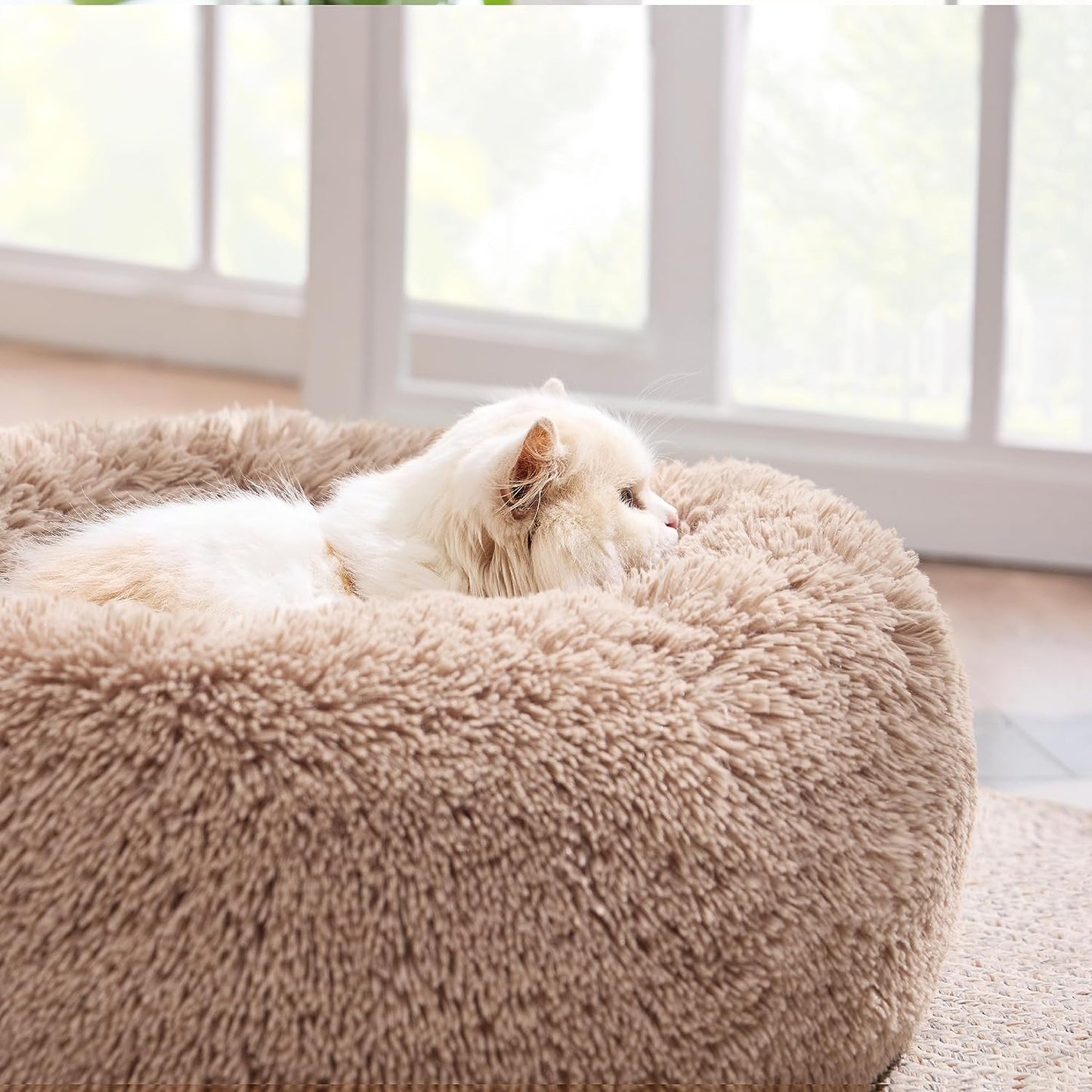 Calming Washable Cat Beds for Indoor Cats