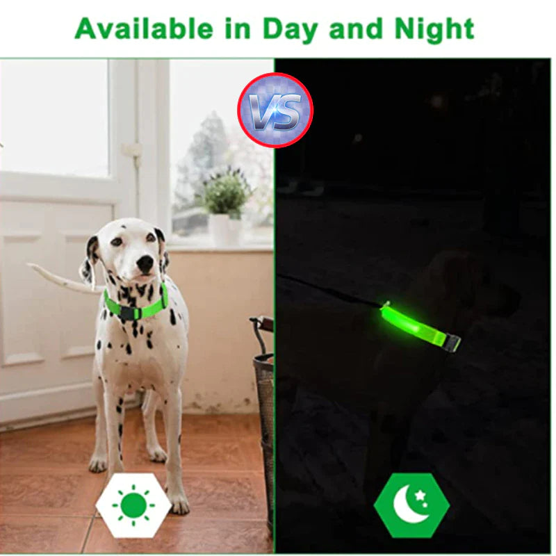 Blinking Waterproof LED Adjustable Dog Collar