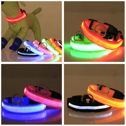 Blinking Waterproof LED Adjustable Dog Collar