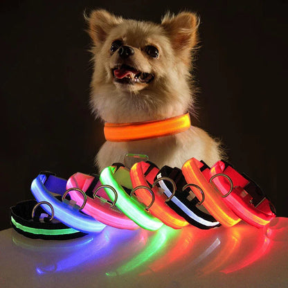 Blinking Waterproof LED Adjustable Dog Collar