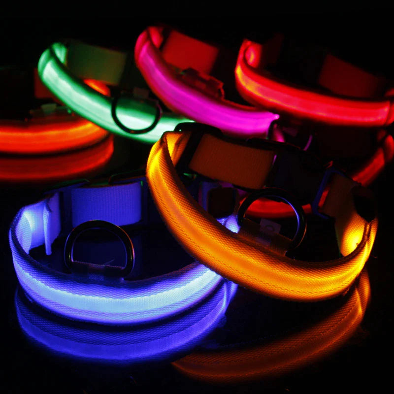 Blinking Waterproof LED Adjustable Dog Collar